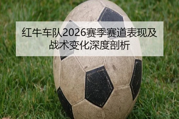红牛车队2026赛季赛道表现及战术变化深度剖析